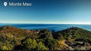 Top Savona