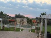 Top Principina Terra