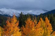 Top Winter Park