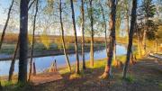 Top Kenai