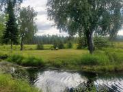 Top Kasilof