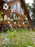 Top Soldotna