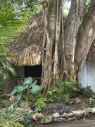 Top Isla Grande