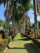 Finca San José, Los Naranjos Santa Marta