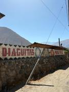 VALLE DEL ELQUI, DIAGUITAS-parcela