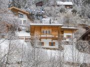 Top Wald im Pinzgau