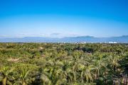 Top Nuevo Vallarta