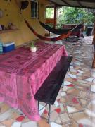 Top San Carlos