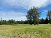 Top Kenai