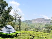Top Vagamon