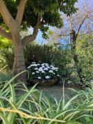 Top Sorrento