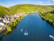 Top Zell an der Mosel