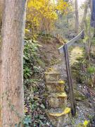 Top Zell an der Mosel