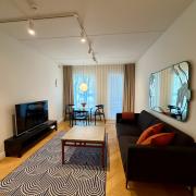 Cozy 2-room apartment in city center