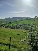Top Volterra