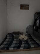 Halong Homestay Central