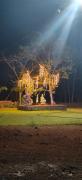 Top Kolthare
