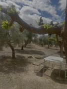 Top Los Corrales