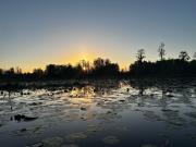 Top Folkston