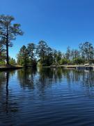 Top Folkston