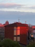 Top Bologna