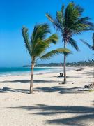 La Villita Breeze Garden