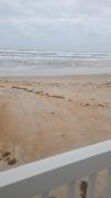 Top Daytona Beach