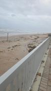 Top Daytona Beach