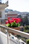 Top Sorrento