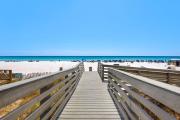 Top Panama City Beach