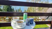 Top Mavrovo