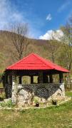 Top Padis