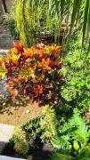 Apartamento Aconchegante Campeche