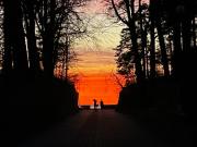 Pine Fine Terrace Apartment - 4U- 4min Beach