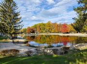 Top Stevensville