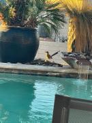 Top Lake Havasu City