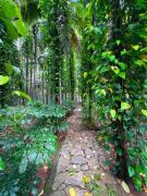 the Farm Estate Social Colonial House in Nature