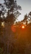 Top Ingarö