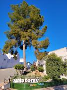 Top Santo Tomé