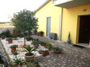Top Senigallia