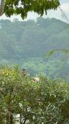Top Da Lat