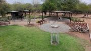 Top Musina