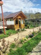 Top Căpăţîneni-Pămînteni