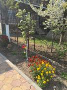 Top Oradea
