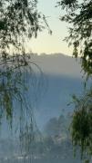 Top Da Lat