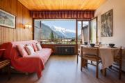 Top Chamonix-Mont-Blanc