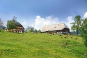 Top Hinterzarten