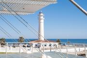 Top Torrox