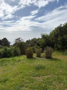 Top Grosseto-Prugna