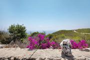 Top Zakynthos Town